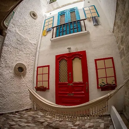 Sao Domingos Flowers *