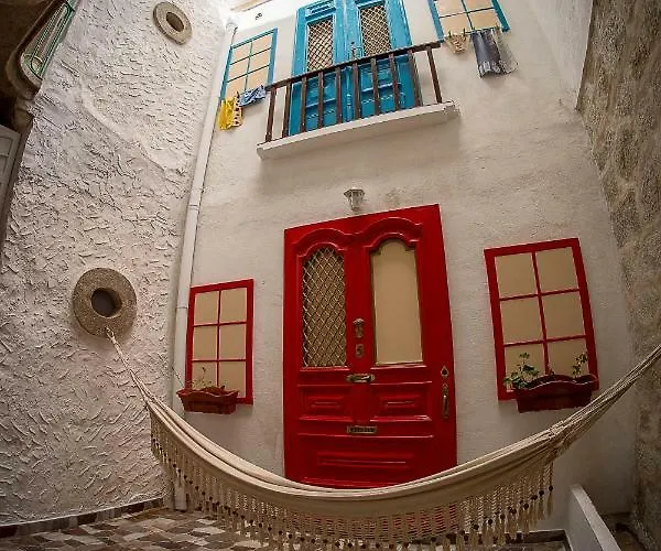 Sao Domingos Flowers *