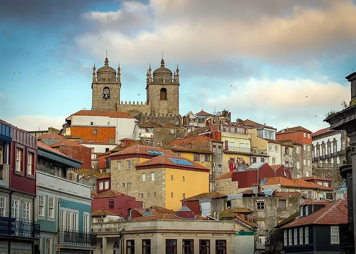 Sao Domingos Flowers *