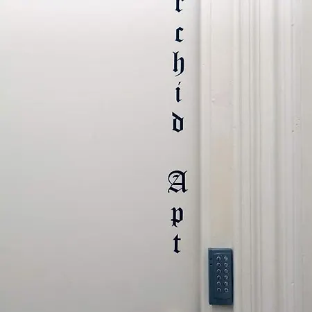 Appartement Sao Domingos Flowers