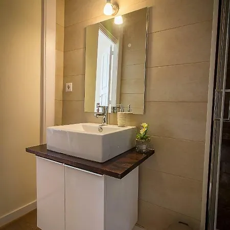 Sao Domingos Flowers * 波尔图