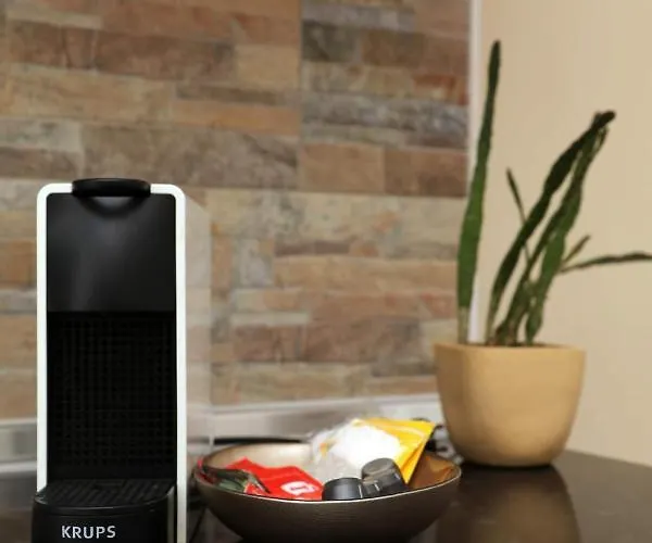 Sao Domingos Flowers * 포르투